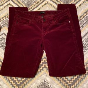 Edyson wine colored corduroy pants